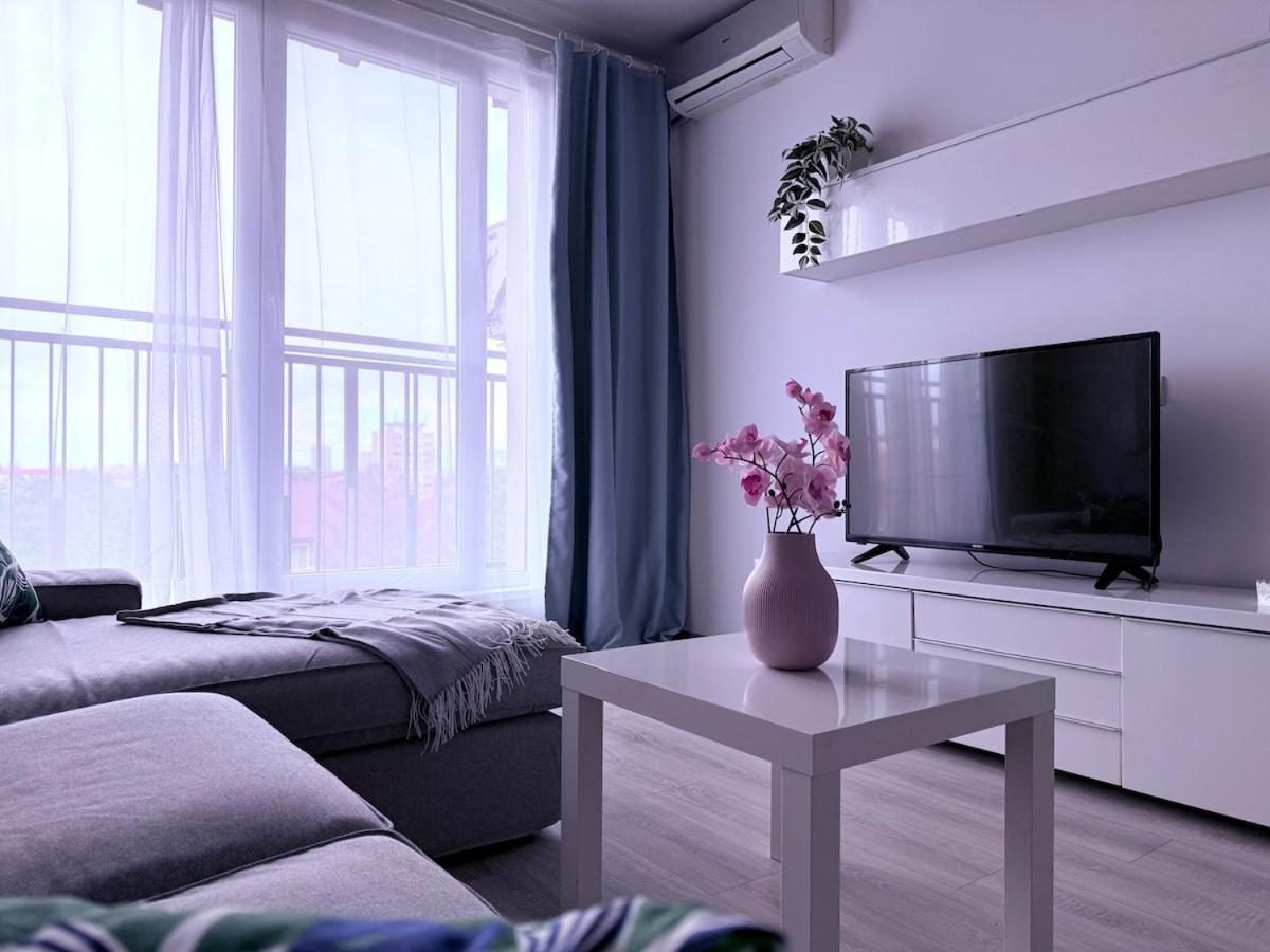 Simple And Modern Timişoara