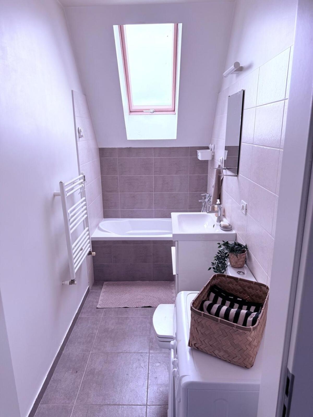 Simple And Modern Apartament Timişoara
